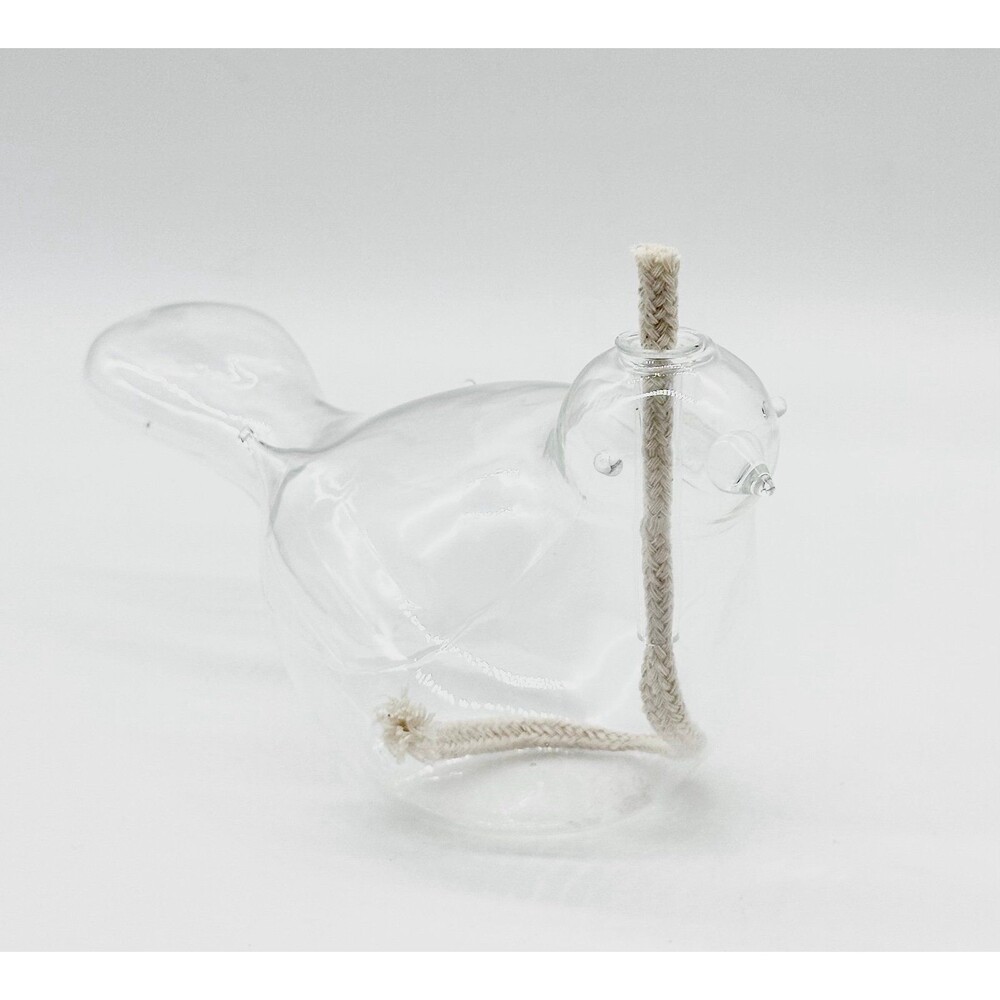 Hand-Blown Clear Glass Bird Oil Lamp Propagation Planter Bud Vase